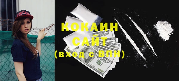 крисы Богородицк