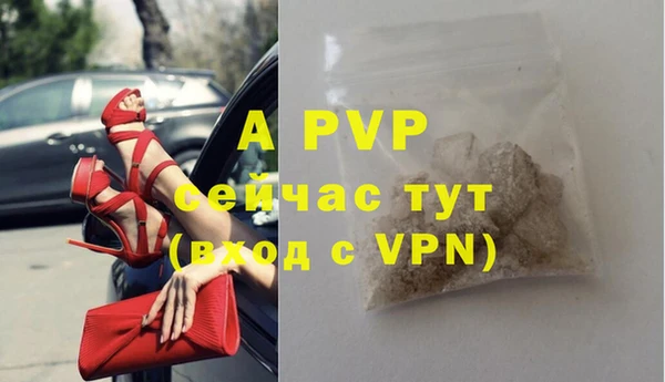 крисы Богородицк