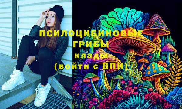 прущая мука Бронницы