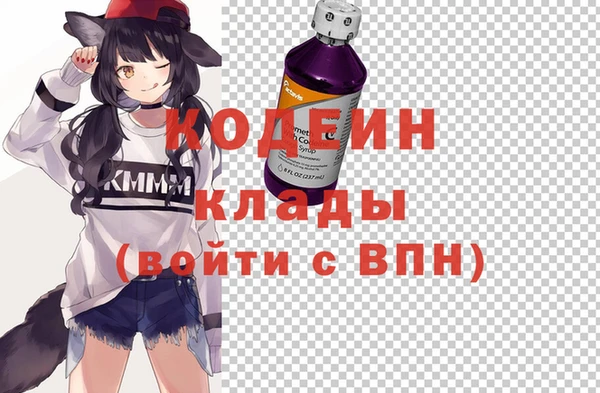 крисы Богородицк
