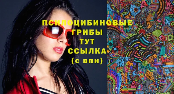 сатива Бугульма