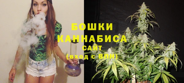 крисы Богородицк