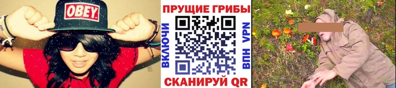 Псилоцибиновые грибы MAGIC MUSHROOMS Динская